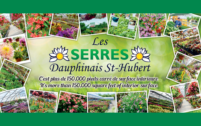 St hubert coupons