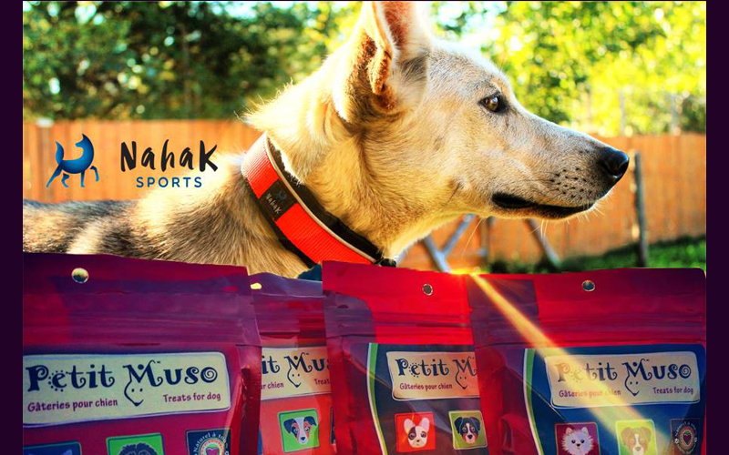 Gâteries pour chiens et un collier NAHAK SPORTS Gâteries pour chiens et un collier NAHAK SPORTS