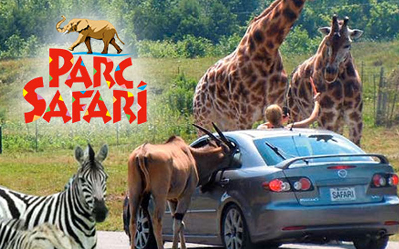 Parc safari montreal discount coupons