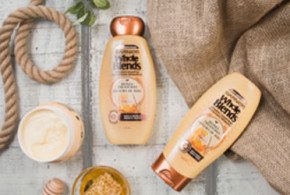 Echantilllon Gratuit de Garnier Whole Blends
