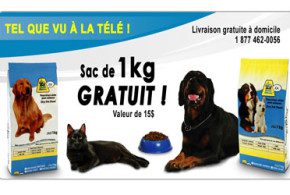 Echantillon de nourriture chat ou chien