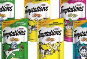 Echantillons des gâteries Temptations pour chat