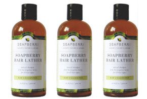 Échantillon Gratuit, Bouteille de gel douche Soapberri