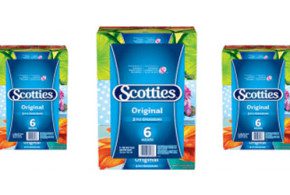 6 boites de mouchoirs Scotties à 1.99$