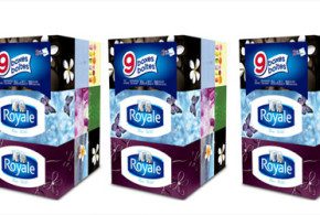 Boite de mouchoirs Royale Gratuite