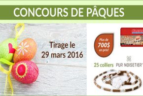 Carte-cadeau Costco de 200$