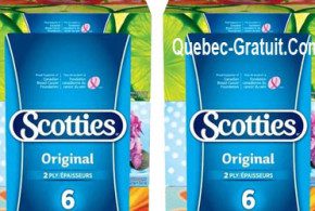 Emballage de 6 boîtes de mouchoirs Scotties à 2.97