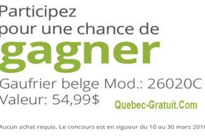 Gaufrier Belge de Hamilton Beach