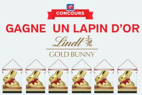 Lapins en chocolat Lindt de 1000g
