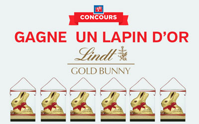 Lapins en chocolat Lindt de 1000g