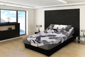 Matelas Zedbed de 7500$