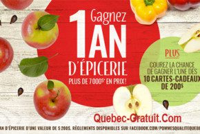 Un an d’épicerie, valeur totale de 5200$