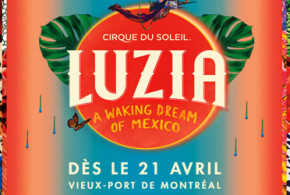 Billets pour le spectacle Luzia du Cirque du Soleil