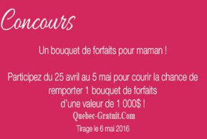 Bouquet de forfaits de 1000$