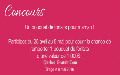 Bouquet de forfaits de 1000$