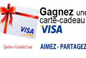 Carte cadeau Visa de 500$