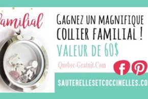 Collier familial de 60$