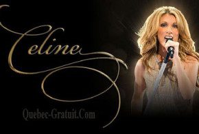 Forfait VIP dans une loge pour le spectacle de Céline Dion
