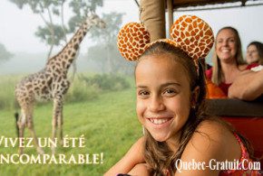 Forfait vacances au Walt Disney World Resort en Floride