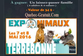 Laissez-passer familial pour Exponimaux
