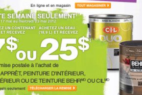 Remise postale sur la peinture chez Home Depot