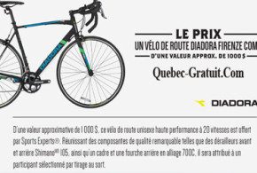 Vélo de route Diadora Firenze Comp