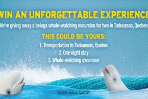 Voyage à destination de Tadoussac