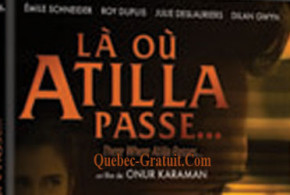 DVD du film Là où Atilla passe...