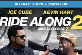 Blu-ray/DVD du film Mise à l'épreuve 2