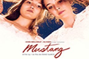 Blu-ray du film Mustang