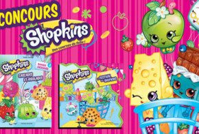 Ensembles de livres conçus par Les Créations Tristan Demers