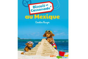 Trois livres de la collection Biscuits et cassonade