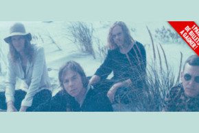 Billets pour le spectacle de Cage the Elephant
