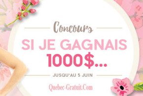 1000 $ sur le site internet legrenier.ca