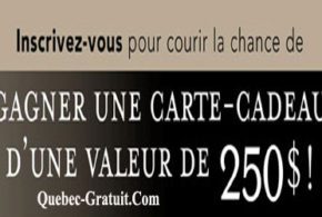 Carte-cadeau Bombay au montant de 250 $