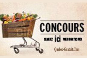 Carte-cadeau Rachelle-Béry de 500$