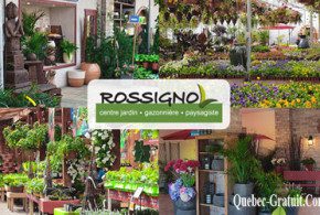 Carte-cadeau de 200$ chez Rossignol Centre Jardin