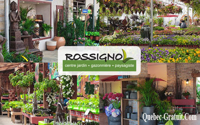 Carte-cadeau de 200$ chez Rossignol Centre Jardin