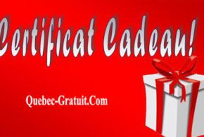 Certificat-cadeau Kat Chouchou de 10$ et 15$