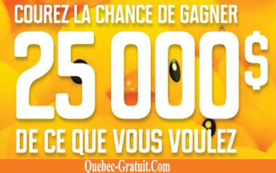 Chèque de 25000 $