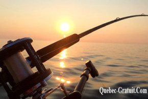 Coffre à pêche de 300$ et carte cadeau de 200$