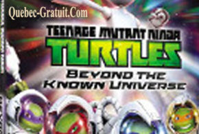 Coffret DVD Teenage Mutant Ninja Turtles