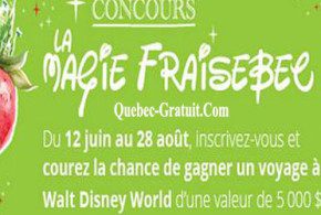 Concoursdisney