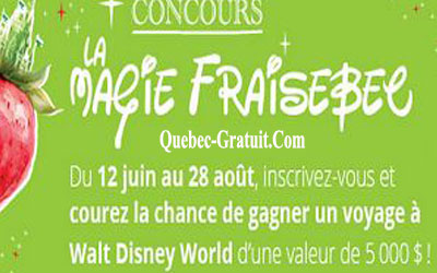 Concoursdisney