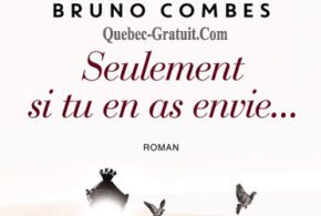 Ensembles de deux romans