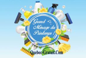 Grand ménage standard de Monsieur Propreté