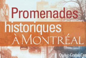 Livre « Saveur d'ici et d'ailleurs »