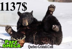 Forfait weekend familial VIP au Parc Oméga