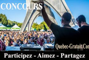 Laissez-passer pour la 14e saison du Piknic Électronik