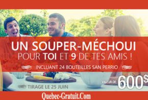 Souper méchoui pour 10 personnes